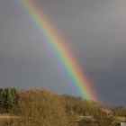 Regenbogen I