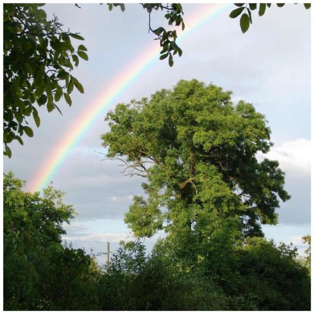 Regenbogen I