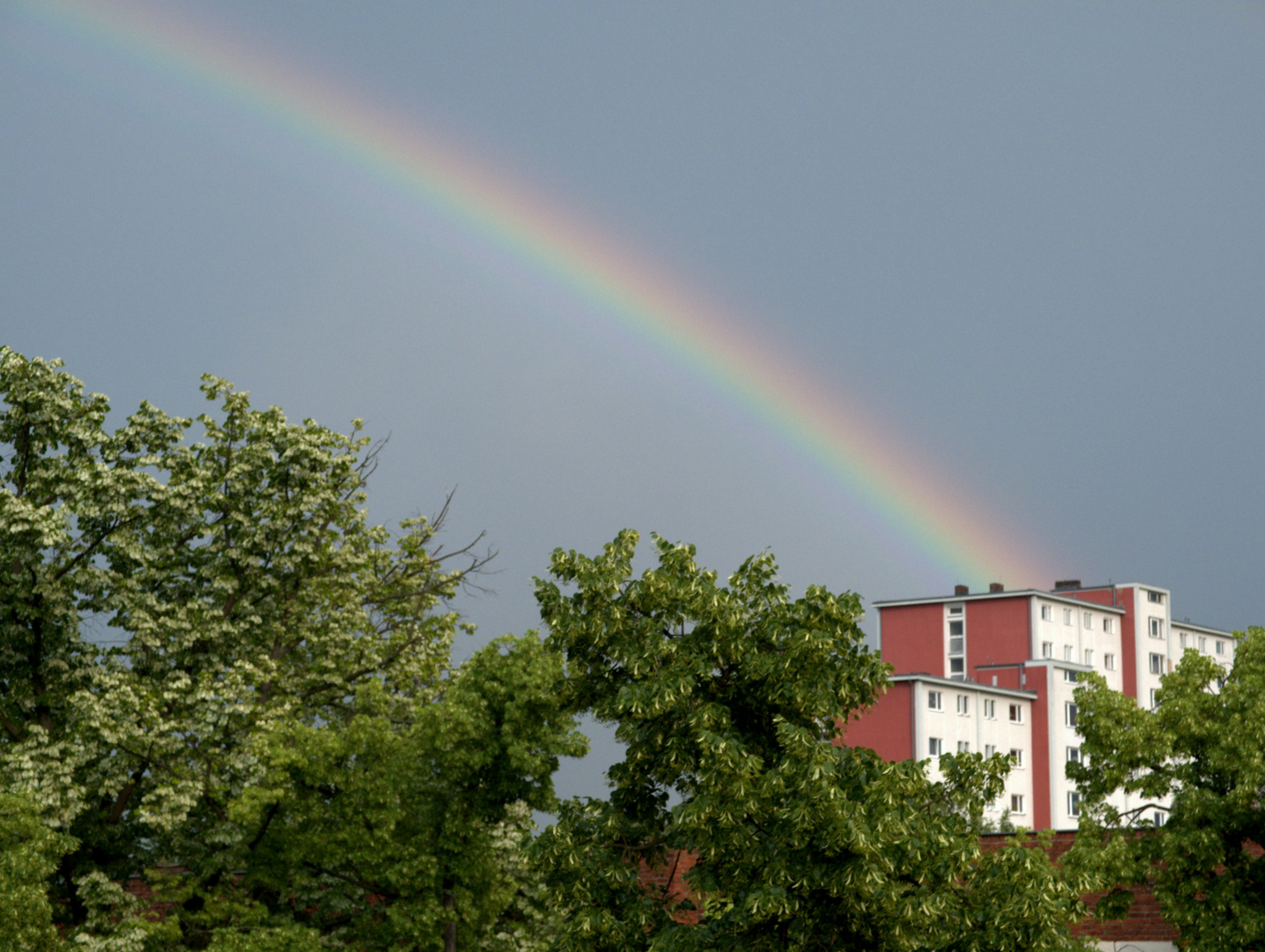 Regenbogen II