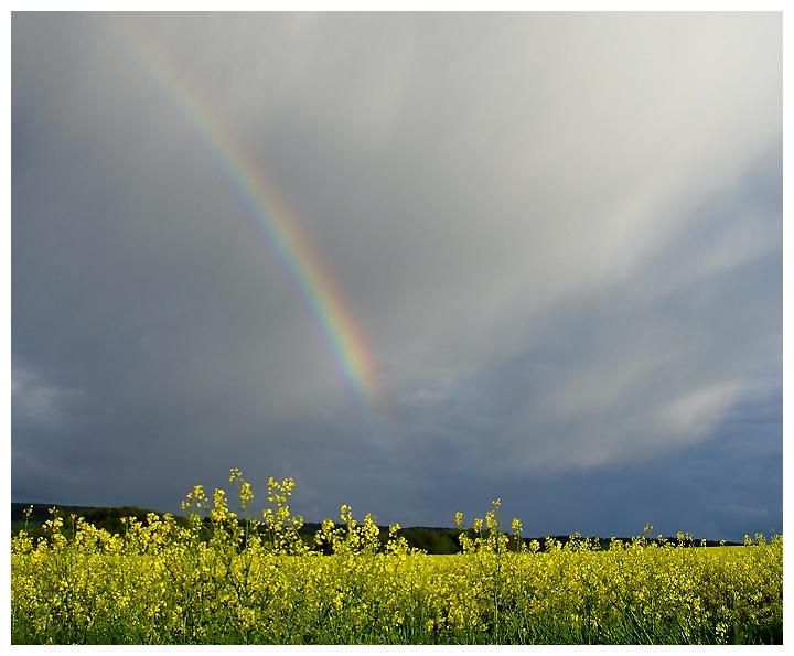 Regenbogen II - fast vorbei