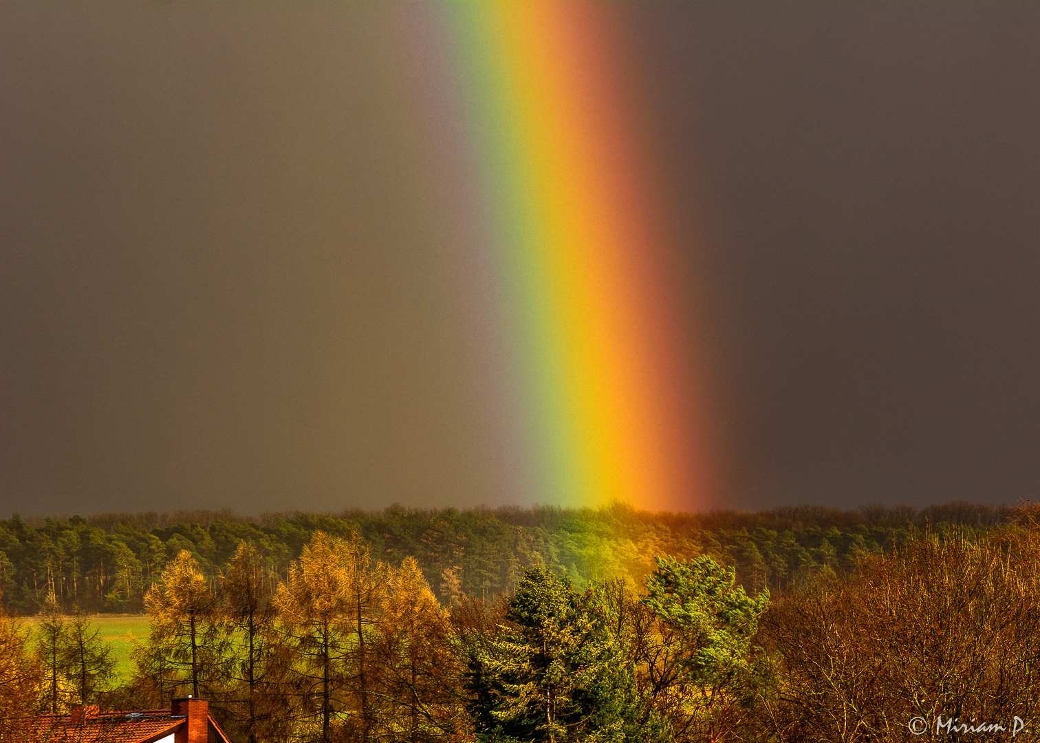 Regenbogen im Abendlicht