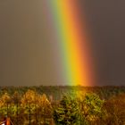 Regenbogen im Abendlicht