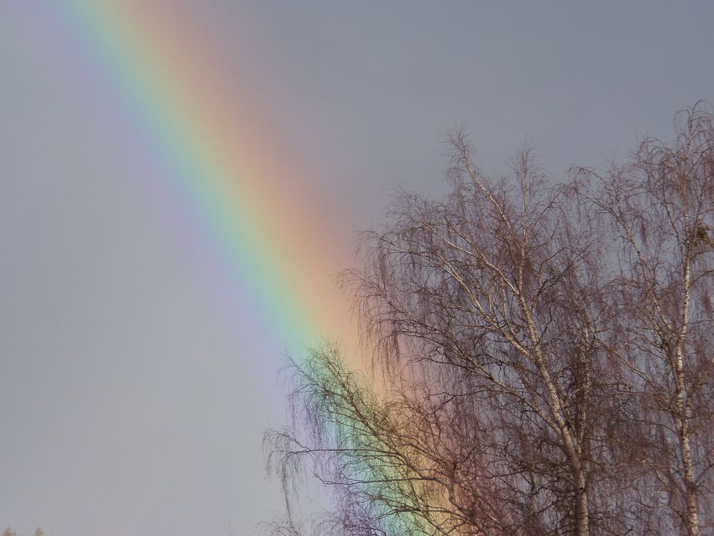 Regenbogen im Dezember