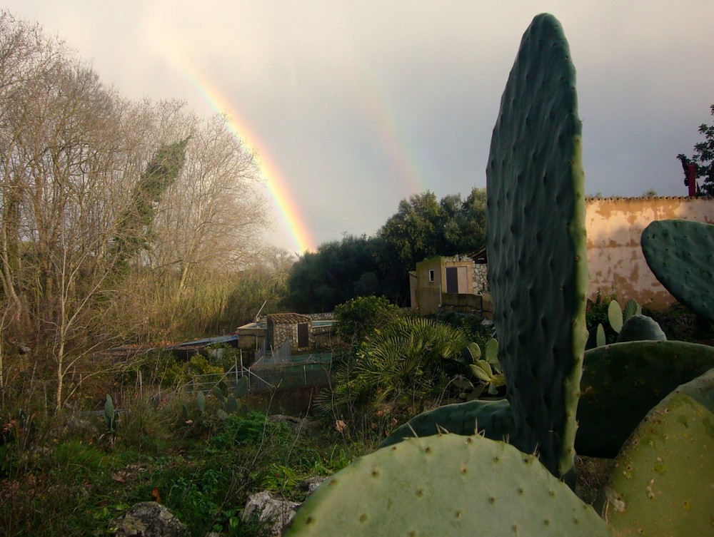 Regenbogen im Doppelpack