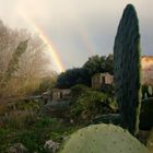 Regenbogen im Doppelpack