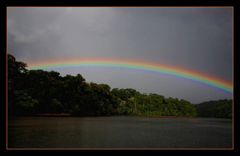 Regenbogen im Dschungel