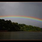 Regenbogen im Dschungel