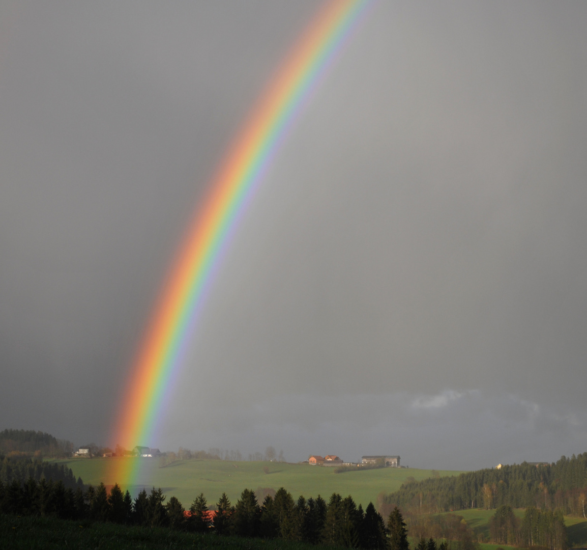 Regenbogen im Frühling