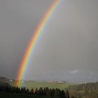 Regenbogen im Frühling