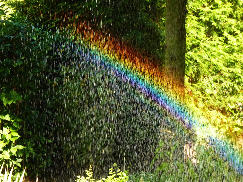 Regenbogen im Garten