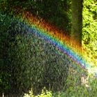 Regenbogen im Garten