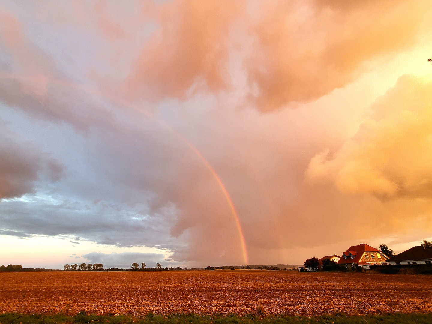 Regenbogen im goldenen Licht