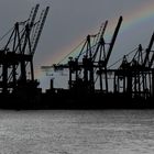 Regenbogen im Hafen