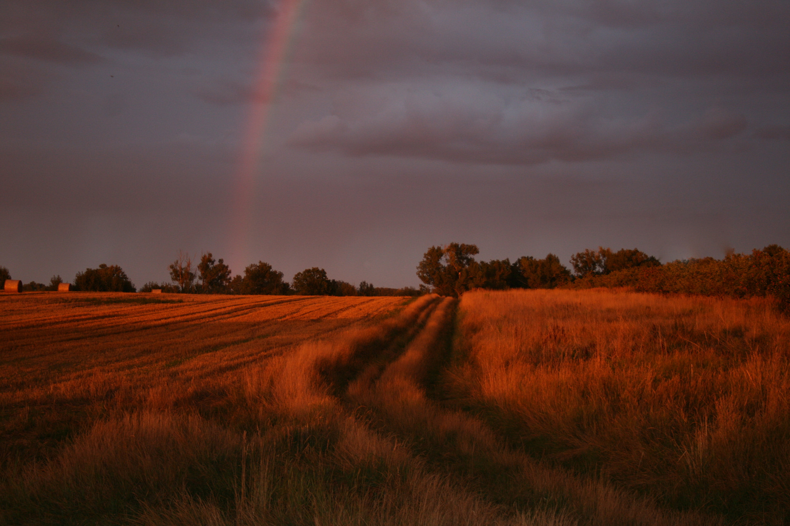 Regenbogen im Havelland