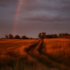 Regenbogen im Havelland