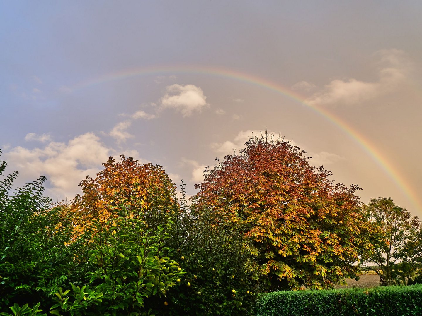 Regenbogen im Herbst