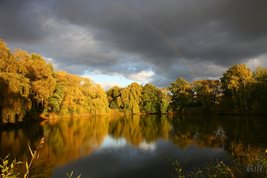 Regenbogen im Herbst