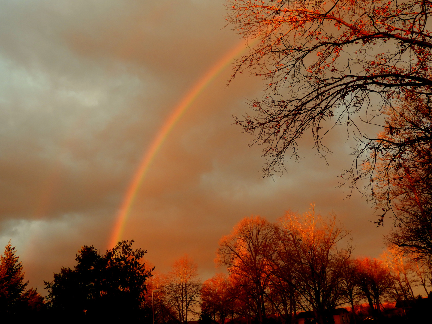 Regenbogen im Januar