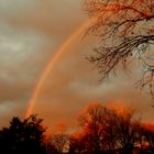 Regenbogen im Januar