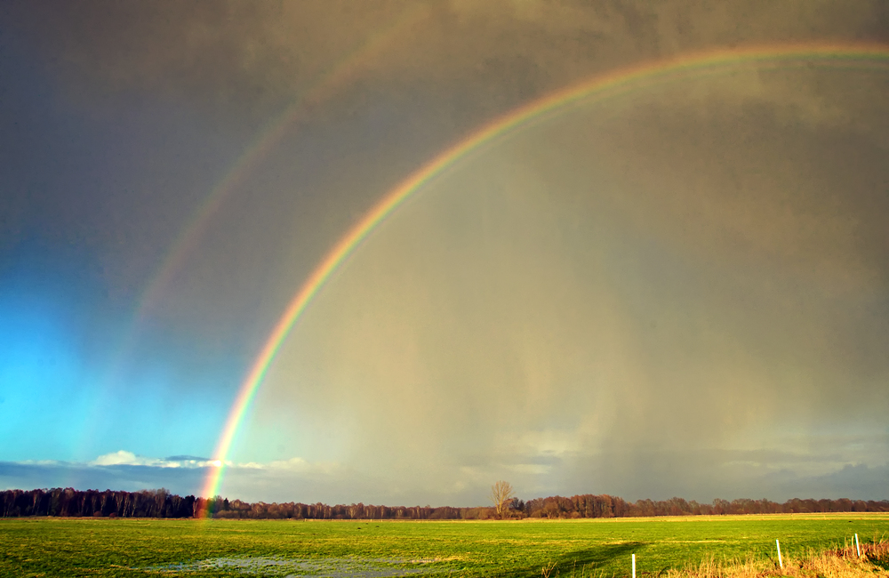 Regenbogen im Moor