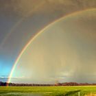 Regenbogen im Moor