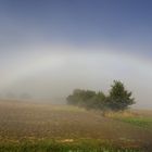 Regenbogen im Nebel