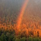 Regenbogen im Nebel