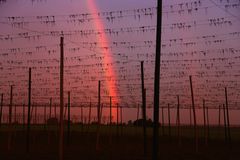 Regenbogen im Netz