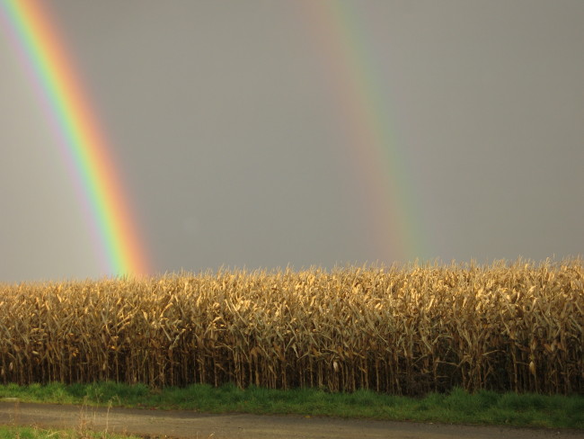 Regenbogen im November 2007