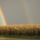 Regenbogen im November 2007