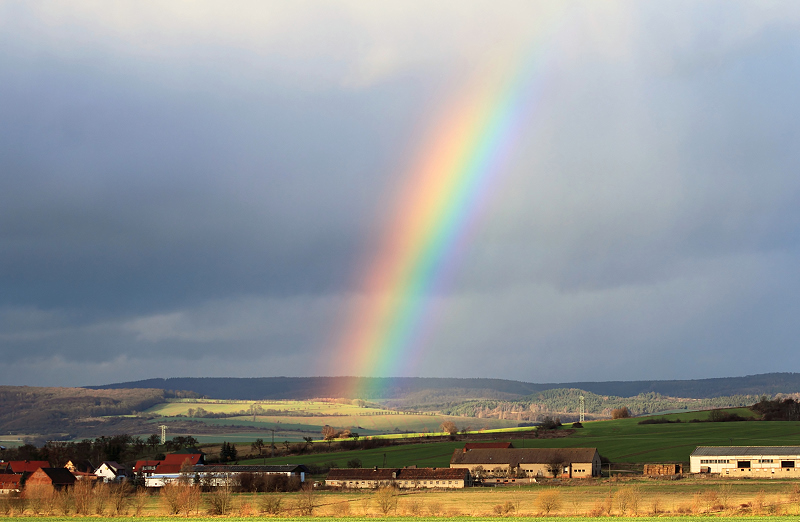 Regenbogen im November