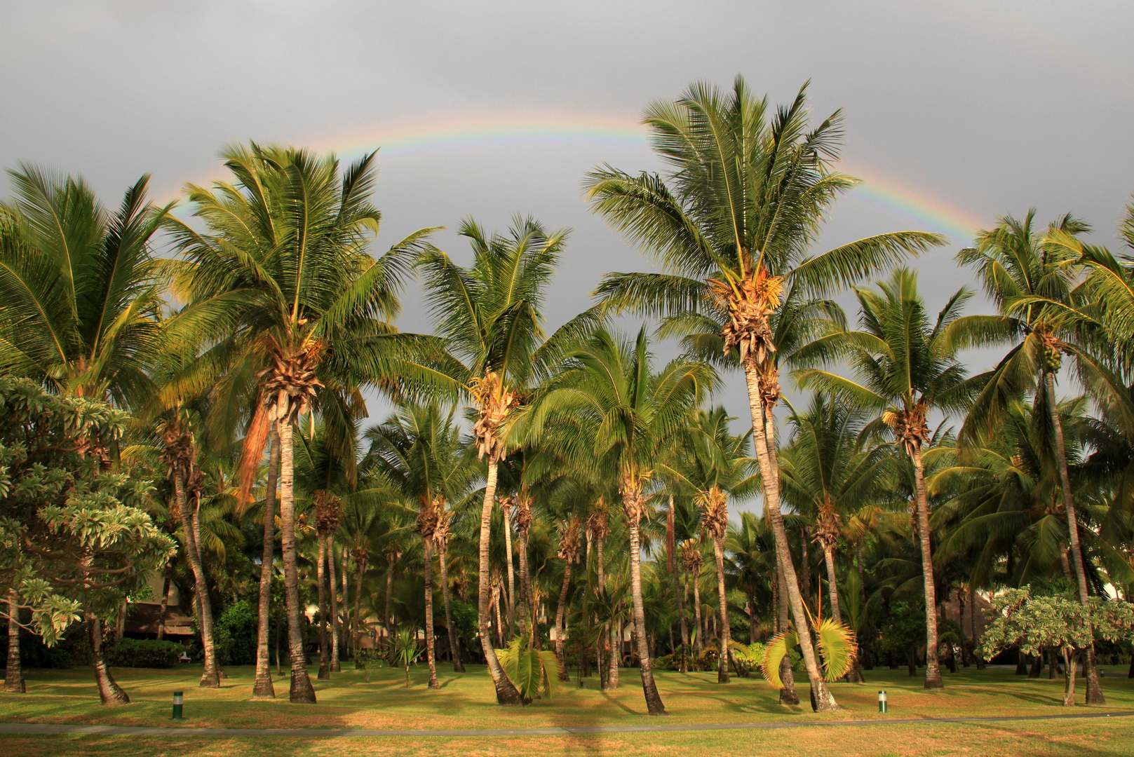 Regenbogen im Paradies