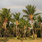 Regenbogen im Paradies