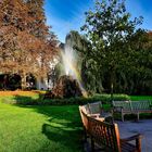 Regenbogen im Park 