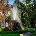 Regenbogen im Park 