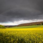 Regenbogen im Raps