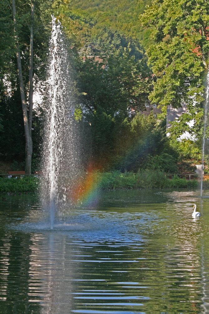 Regenbogen im Schwanenteich