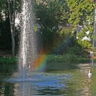 Regenbogen im Schwanenteich