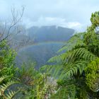 Regenbogen im Urwald von La Réunion