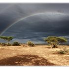 Regenbogen im Wadi