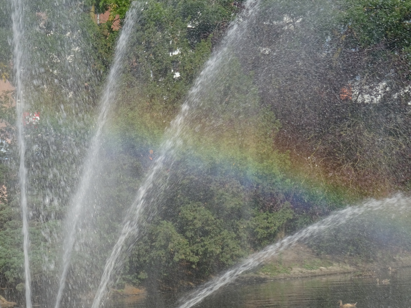 Regenbogen im Wasserspiel