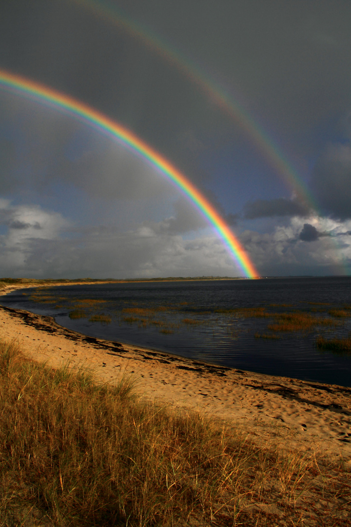 Regenbogen im Watt