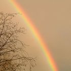 Regenbogen im Winter