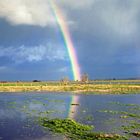 Regenbogen im Winter