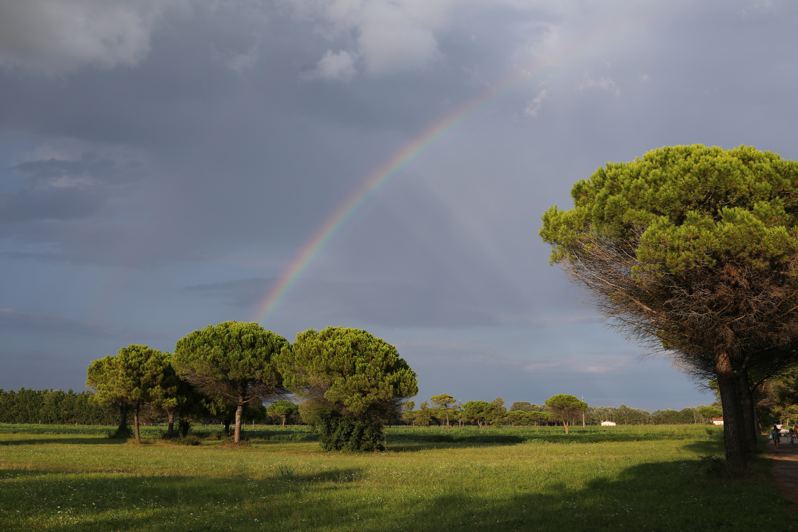 Regenbogen in Bibione