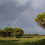 Regenbogen in Bibione
