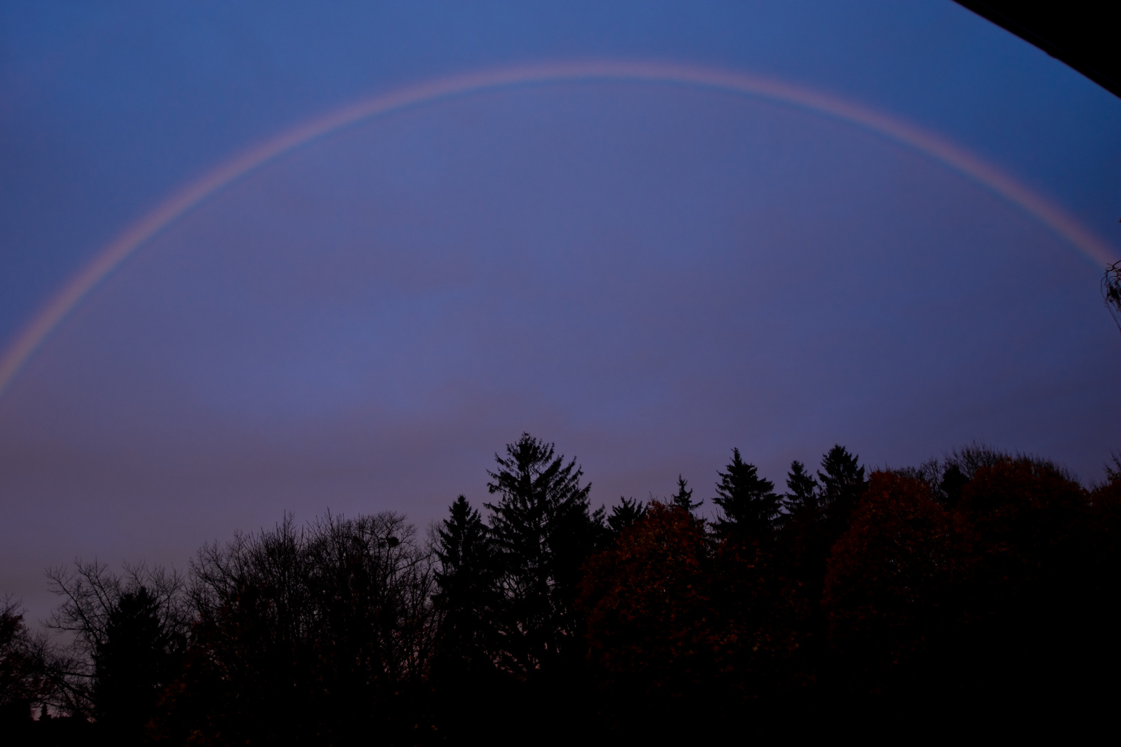 Regenbogen in Dammerstock