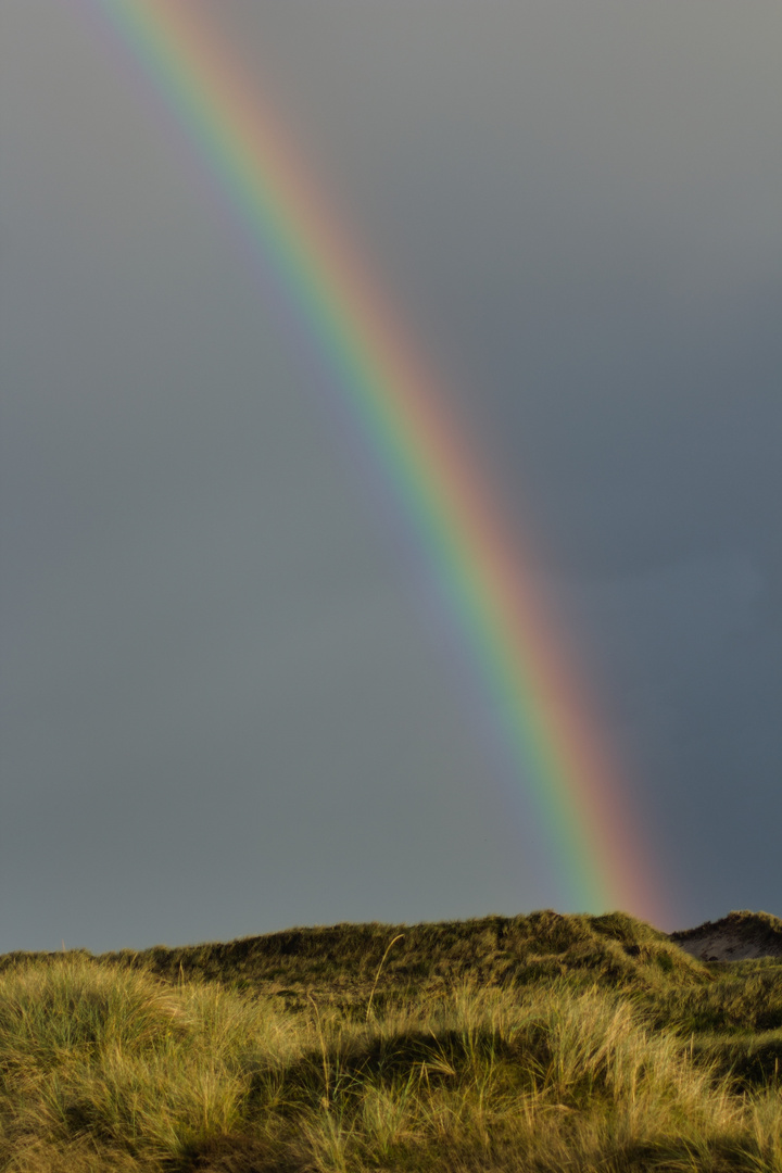 Regenbogen in den Dünen