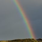 Regenbogen in den Dünen