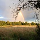 Regenbogen in den Spandauer Rieselfeldern in Berlin